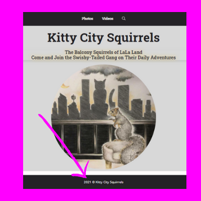 Kitty-City-Squirrels-website